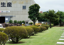 秦野工場内の風景写真